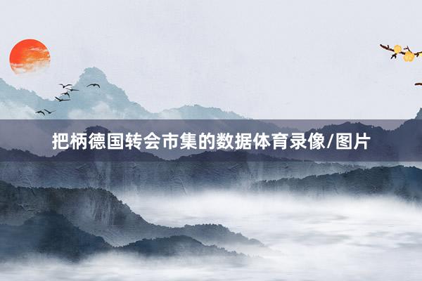 把柄德国转会市集的数据体育录像/图片