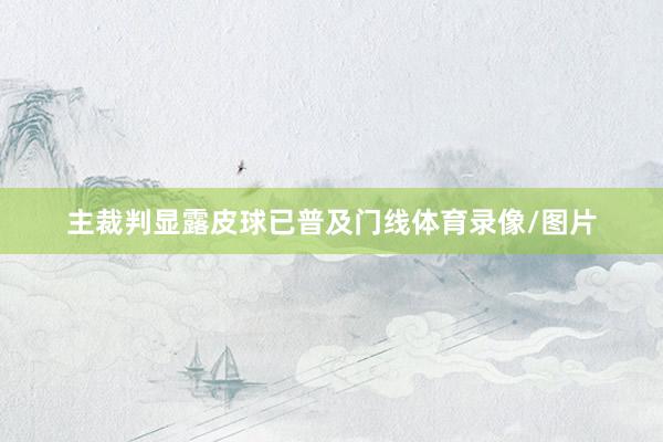 主裁判显露皮球已普及门线体育录像/图片