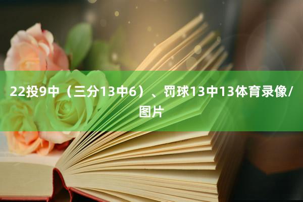 22投9中（三分13中6）、罚球13中13体育录像/图片