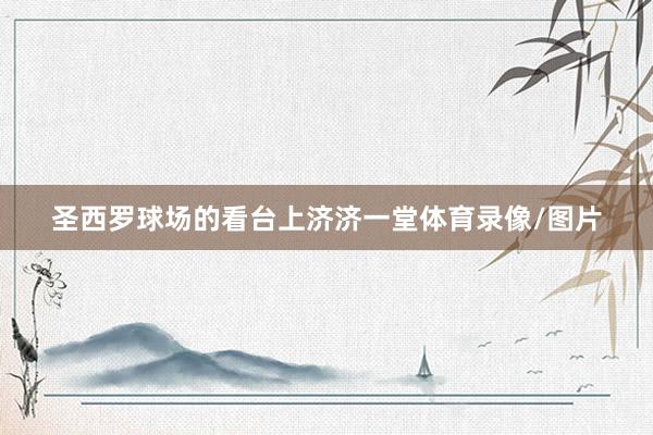 圣西罗球场的看台上济济一堂体育录像/图片