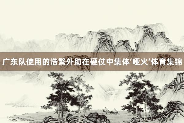广东队使用的浩繁外助在硬仗中集体‘哑火’体育集锦