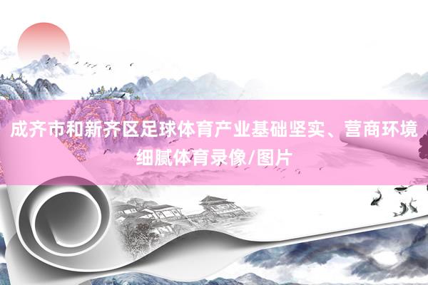 成齐市和新齐区足球体育产业基础坚实、营商环境细腻体育录像/图片