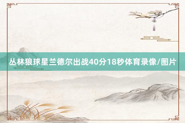 丛林狼球星兰德尔出战40分18秒体育录像/图片