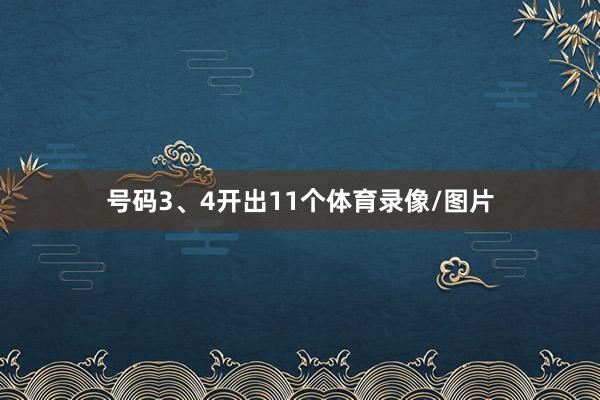 号码3、4开出11个体育录像/图片