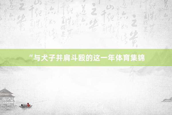 “与犬子并肩斗殴的这一年体育集锦