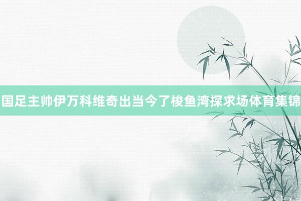 国足主帅伊万科维奇出当今了梭鱼湾探求场体育集锦