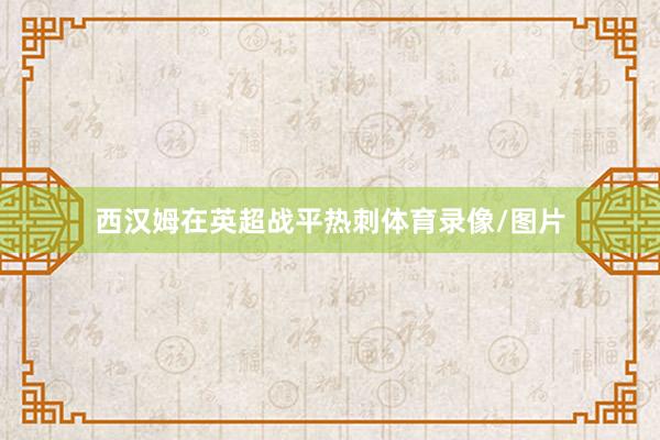 西汉姆在英超战平热刺体育录像/图片