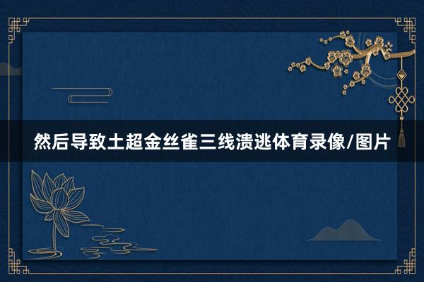然后导致土超金丝雀三线溃逃体育录像/图片
