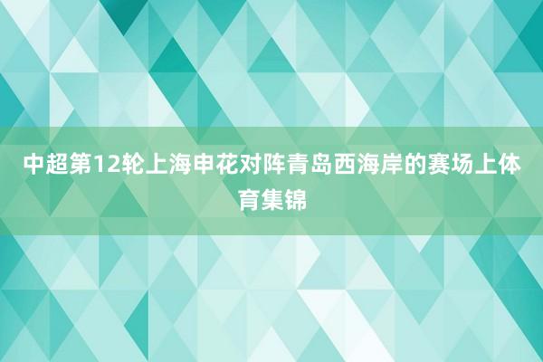 中超第12轮上海申花对阵青岛西海岸的赛场上体育集锦