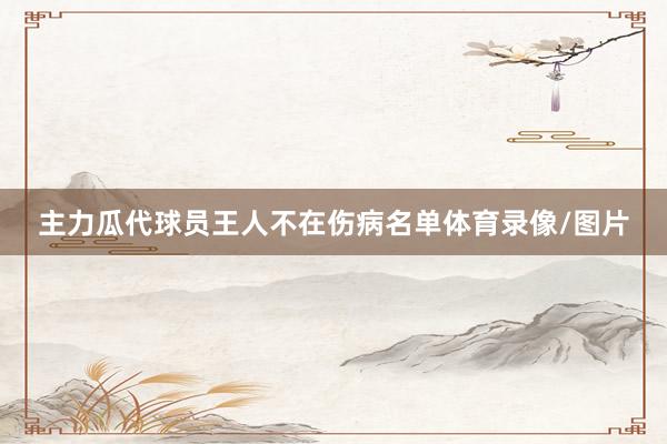 主力瓜代球员王人不在伤病名单体育录像/图片