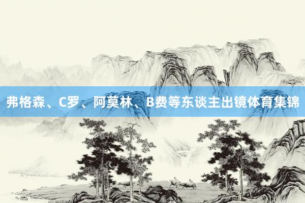 弗格森、C罗、阿莫林、B费等东谈主出镜体育集锦