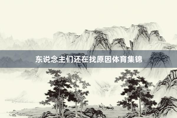 东说念主们还在找原因体育集锦