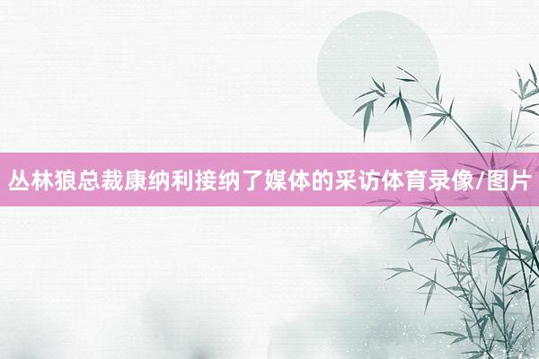 丛林狼总裁康纳利接纳了媒体的采访体育录像/图片