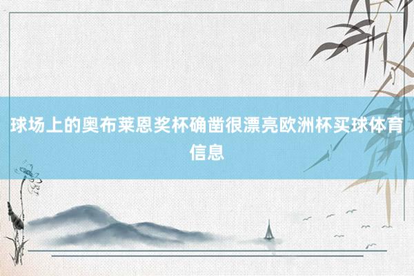 球场上的奥布莱恩奖杯确凿很漂亮欧洲杯买球体育信息