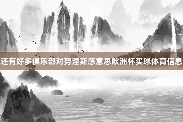 还有好多俱乐部对努涅斯感意思欧洲杯买球体育信息
