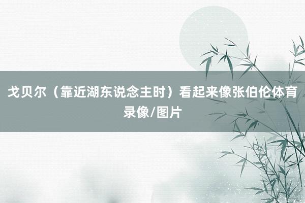 戈贝尔（靠近湖东说念主时）看起来像张伯伦体育录像/图片