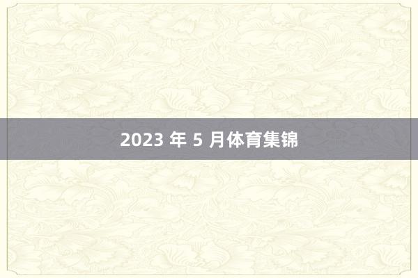 2023 年 5 月体育集锦