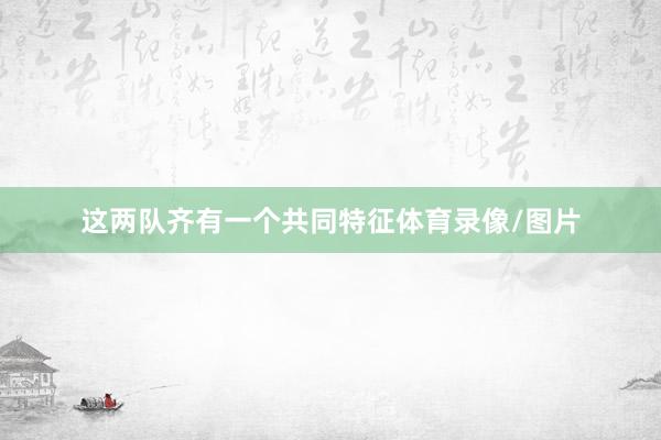 这两队齐有一个共同特征体育录像/图片