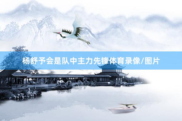 杨舒予会是队中主力先锋体育录像/图片