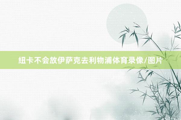 纽卡不会放伊萨克去利物浦体育录像/图片