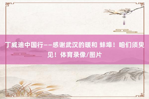 丁威迪中国行——感谢武汉的暖和 蚌埠！咱们须臾见！体育录像/图片