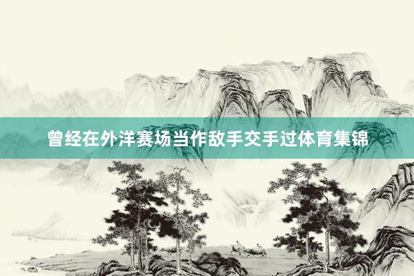 曾经在外洋赛场当作敌手交手过体育集锦