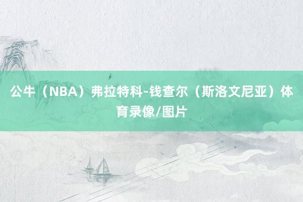 公牛（NBA）弗拉特科-钱查尔（斯洛文尼亚）体育录像/图片