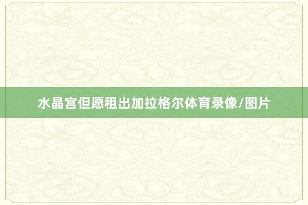 水晶宫但愿租出加拉格尔体育录像/图片