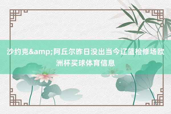 沙约克&阿丘尔昨日没出当今辽篮检修场欧洲杯买球体育信息