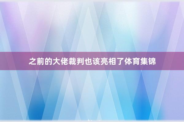 之前的大佬裁判也该亮相了体育集锦