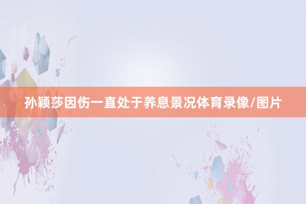孙颖莎因伤一直处于养息景况体育录像/图片