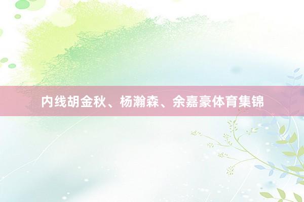 内线胡金秋、杨瀚森、余嘉豪体育集锦