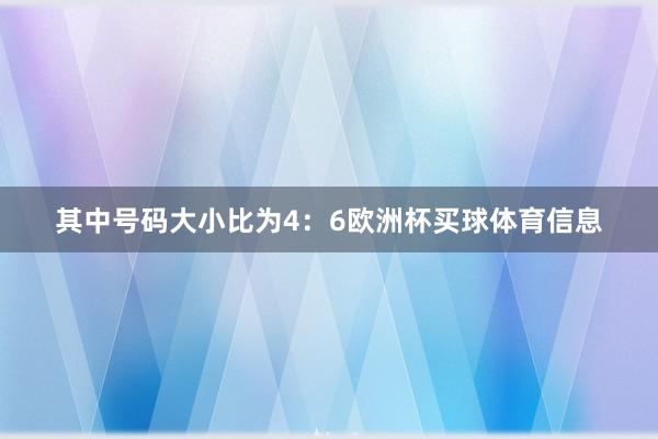 其中号码大小比为4：6欧洲杯买球体育信息