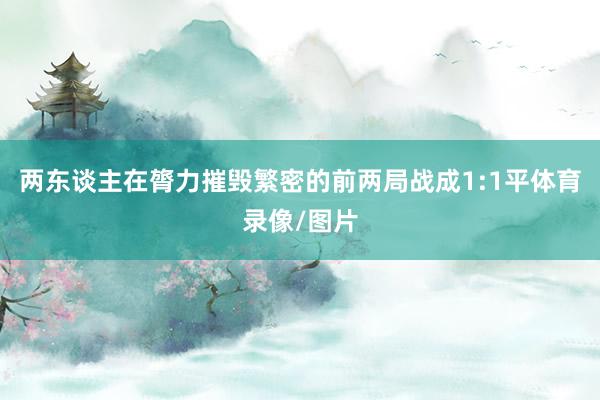 两东谈主在膂力摧毁繁密的前两局战成1:1平体育录像/图片