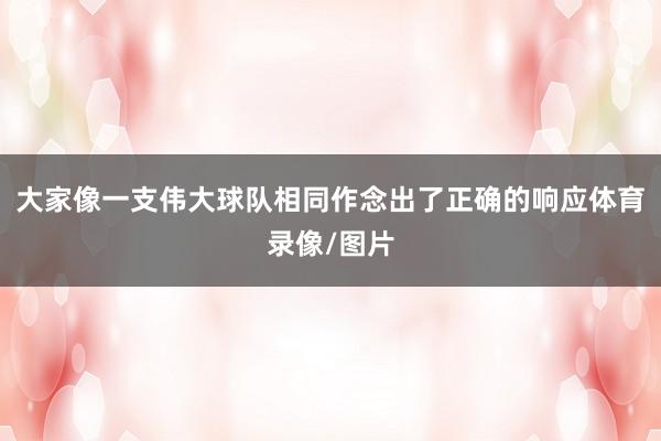 大家像一支伟大球队相同作念出了正确的响应体育录像/图片