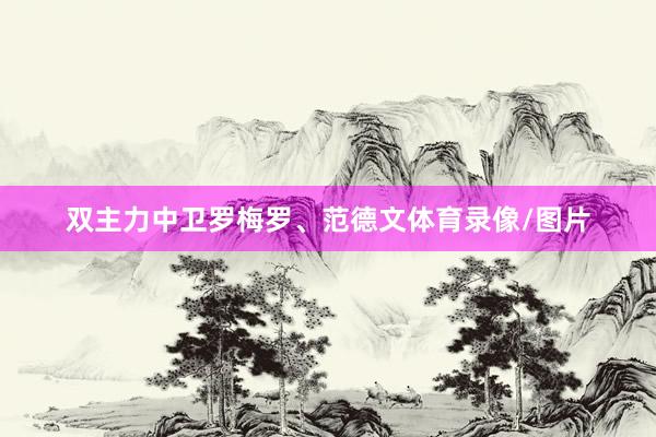 双主力中卫罗梅罗、范德文体育录像/图片