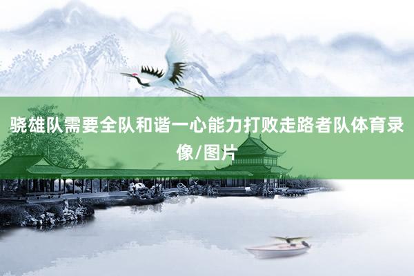 骁雄队需要全队和谐一心能力打败走路者队体育录像/图片
