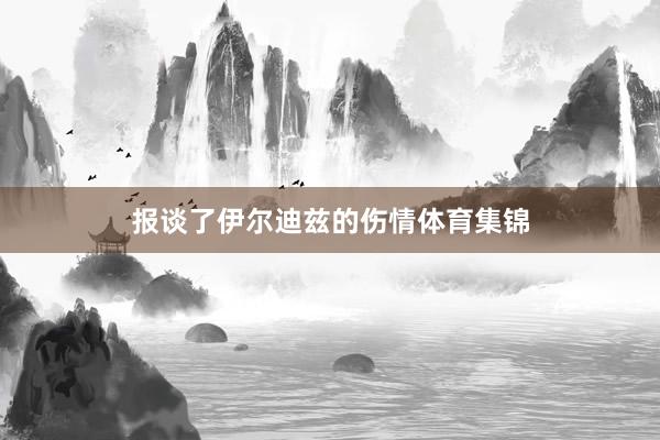 报谈了伊尔迪兹的伤情体育集锦