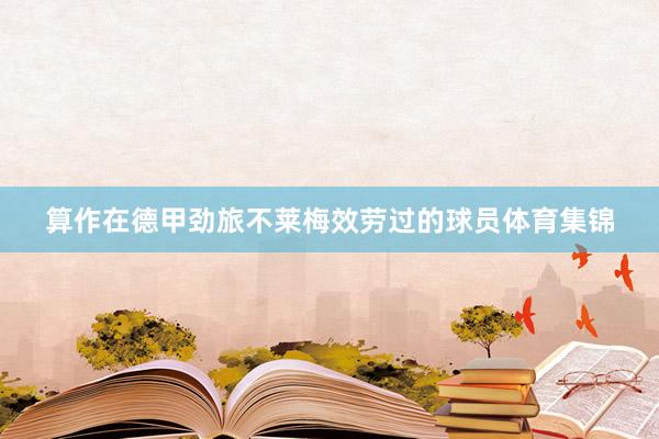 算作在德甲劲旅不莱梅效劳过的球员体育集锦