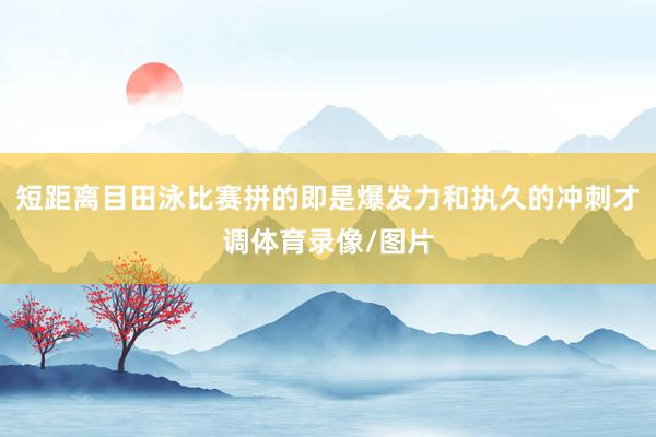 短距离目田泳比赛拼的即是爆发力和执久的冲刺才调体育录像/图片