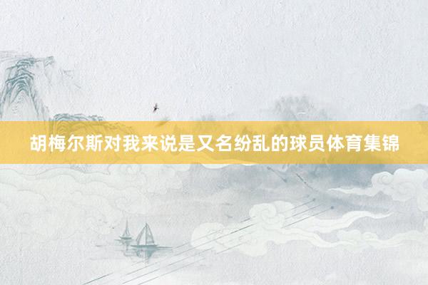 胡梅尔斯对我来说是又名纷乱的球员体育集锦