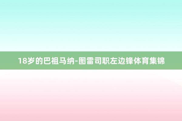18岁的巴祖马纳-图雷司职左边锋体育集锦