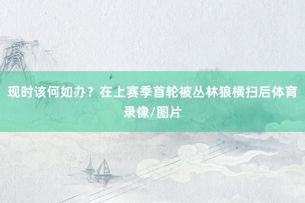 现时该何如办？在上赛季首轮被丛林狼横扫后体育录像/图片