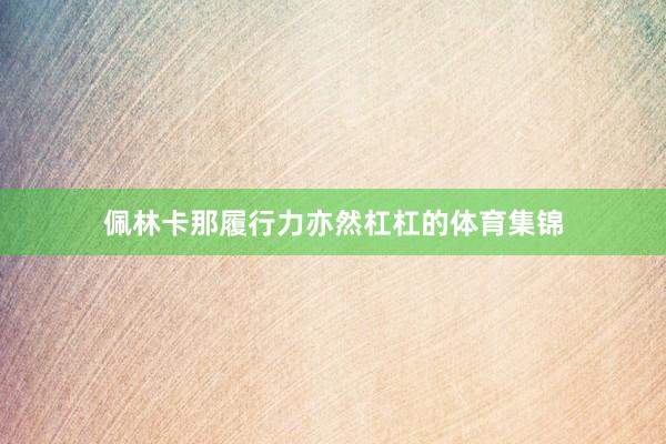 佩林卡那履行力亦然杠杠的体育集锦