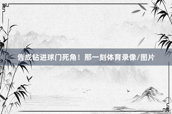 告成钻进球门死角！那一刻体育录像/图片