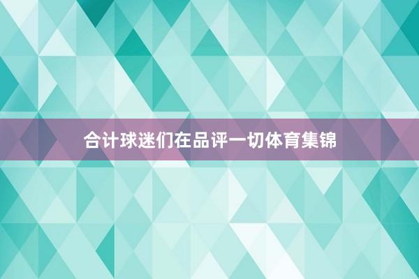 合计球迷们在品评一切体育集锦