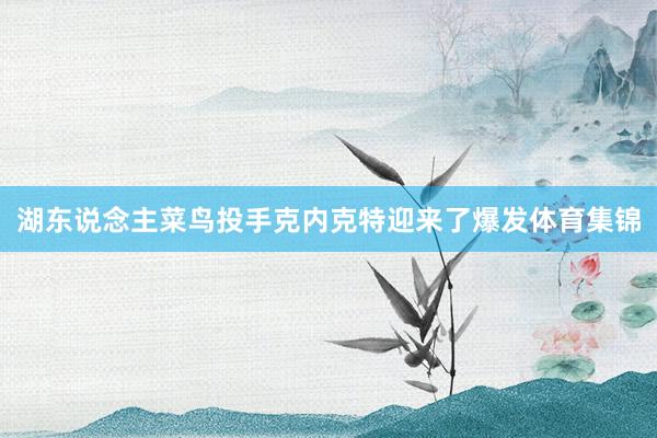湖东说念主菜鸟投手克内克特迎来了爆发体育集锦
