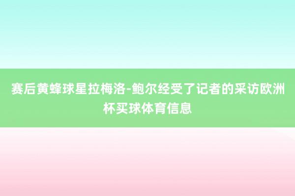 赛后黄蜂球星拉梅洛-鲍尔经受了记者的采访欧洲杯买球体育信息