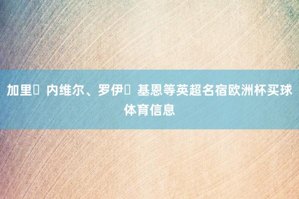 加里・内维尔、罗伊・基恩等英超名宿欧洲杯买球体育信息