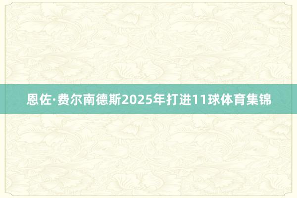 恩佐·费尔南德斯2025年打进11球体育集锦